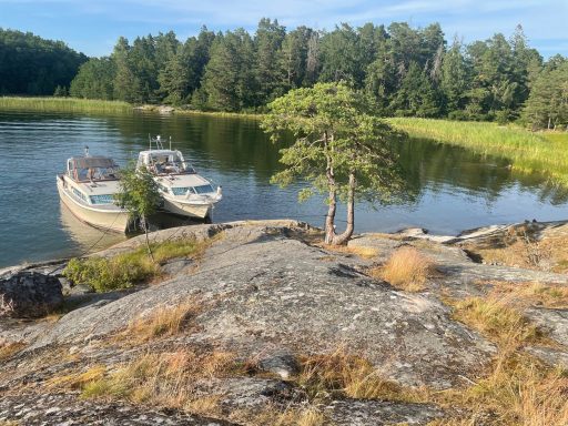 Med Gåsen tar vi oss till nya ställen